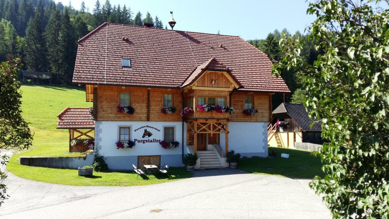 Pension - Bauernhof Sankt Lorenzen ob Murau Exterior photo